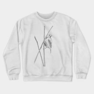 Chesnut Bellied Seedeater Crewneck Sweatshirt